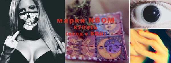 молекула духа Осташков