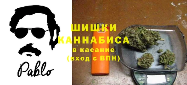молекула духа Осташков