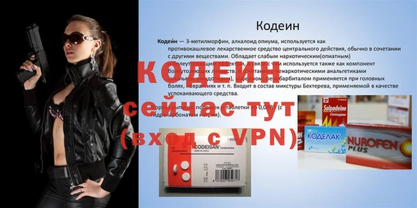 индика Болохово