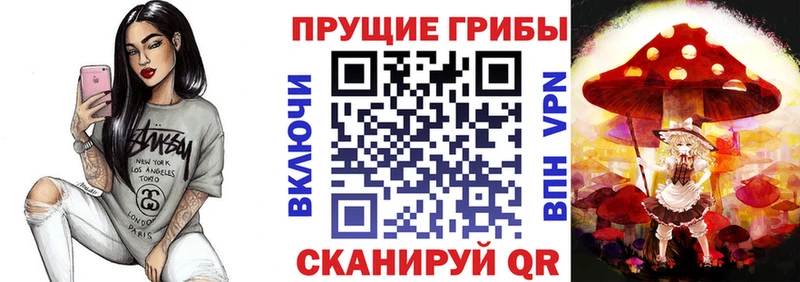 купить  сайты  Правдинск  ОМГ ОМГ   Галлюциногенные грибы GOLDEN TEACHER 